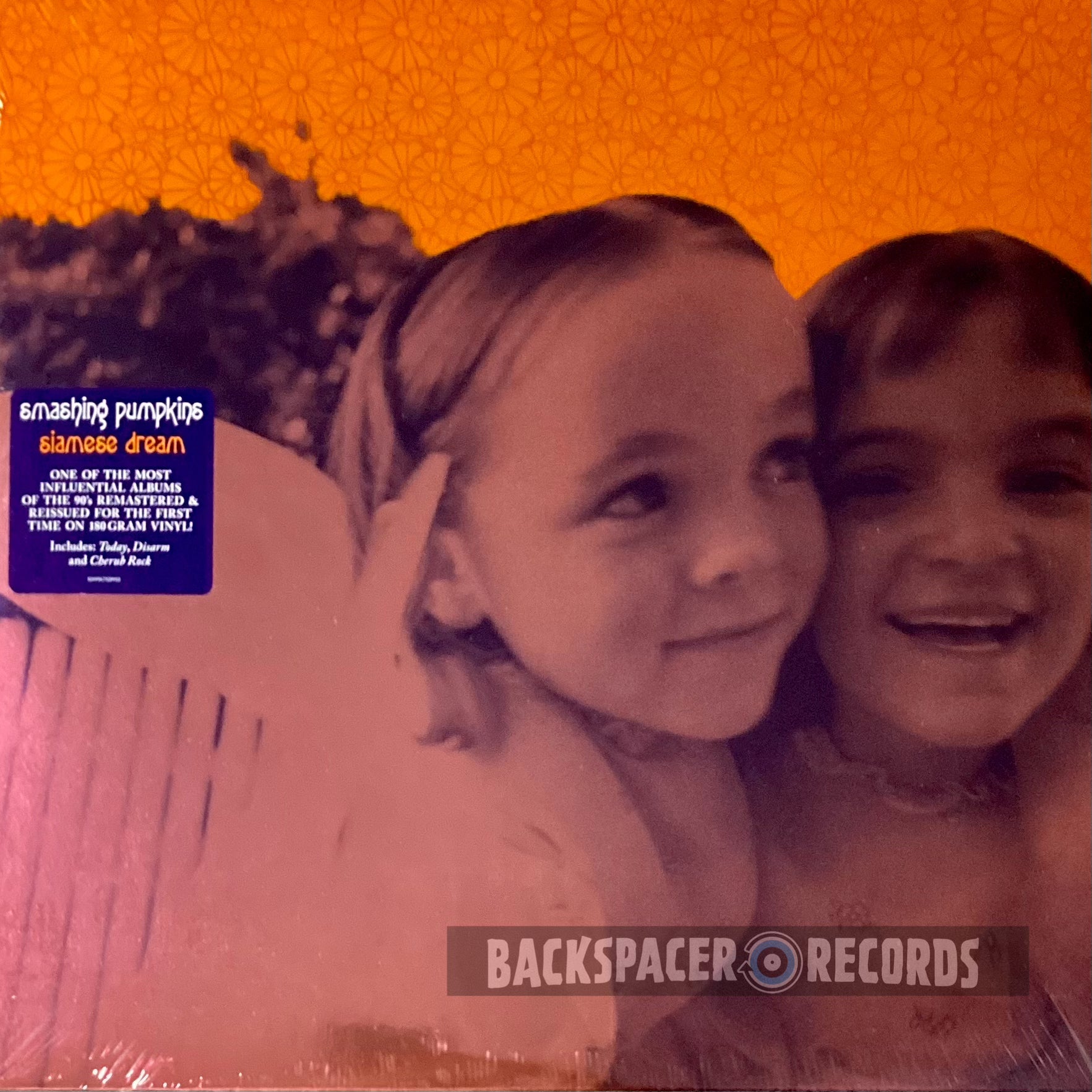 Smashing Pumpkins - Siamese Dream 2-LP (Sealed) – Backspacer Records